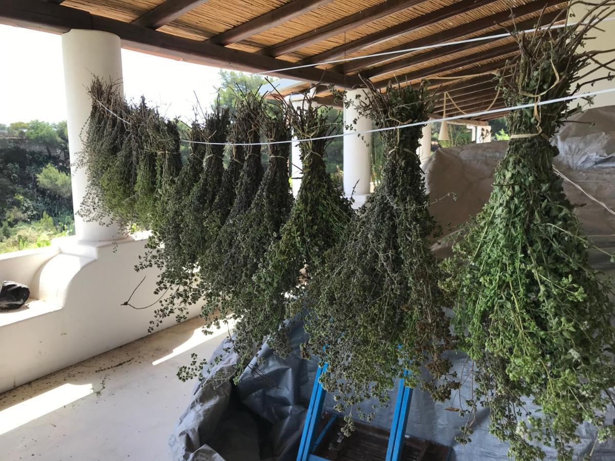 B&B Al Salvatore Di Lipari Kültér fotó
